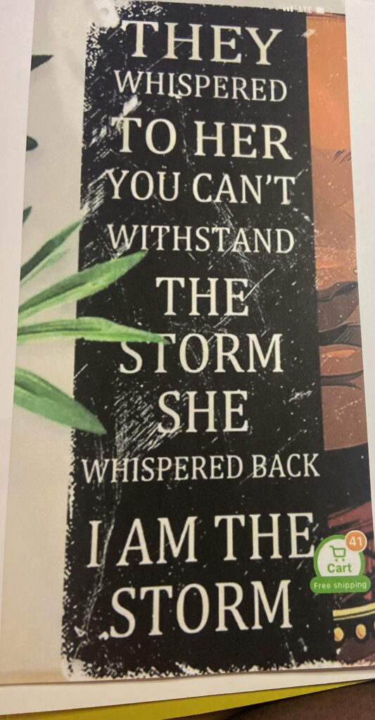 “They whispered to her you can’t withstand the storm; she whispered back I am the storm” encapsulates the empowering mindset that BNB Solutions aims to instill. It reminds us of the strength and resilience driving individuals and organizations to a brighter future.